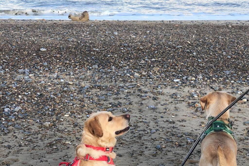 Dog Friendly Cottage 2 Mins To Beach With Hot Tub And Zappi Ev Lessingham Zewnętrze zdjęcie