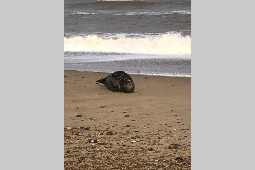 Dog Friendly Cottage 2 Mins To Beach With Hot Tub And Zappi Ev Lessingham Zewnętrze zdjęcie